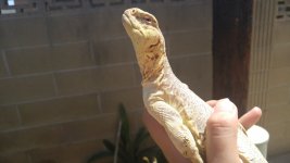 20160720_143529.jpg