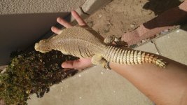 20160720_144036.jpg
