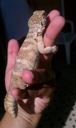 FB_IMG_1472347426363.jpg