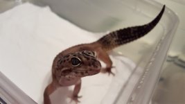 20160802_162545.jpg
