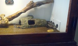 20160813_134428.jpg