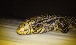 20160813_123834.jpg