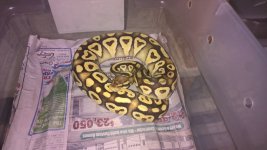 WP_20160703_21_43_27_Pro.jpg