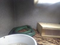 IMG_20160713_144627.jpg