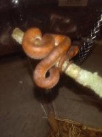 IMG_20160512_221048.jpg