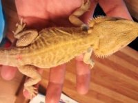 thumbnail_IMG_20161026_155730116.jpg