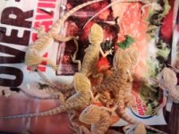 thumbnail_IMG_20161026_164253108.jpg