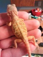 thumbnail_IMG_20161026_163646647.jpg