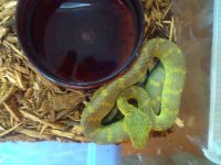 IMG-20160616-WA0044.jpg