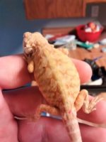thumbnail_IMG_20161026_164059137.jpg