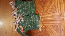 20160606_114711.jpg