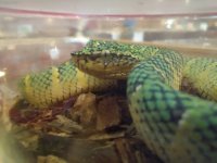 IMG_20160611_082801.jpg