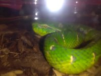 IMG_20160611_124853.jpg