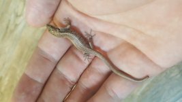 20160713_152044.jpg
