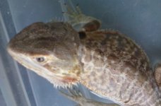 20160807_131839.jpg