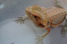 20160720_174035.jpg