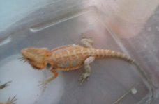20160720_174041.jpg