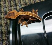 20161026_184839-1.jpg