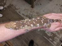 20160802_122410.jpg