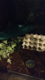 IMG_20160907_092624583.jpg