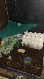 IMG_20160907_092903267.jpg