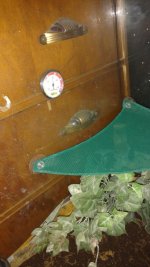 IMG_20160907_092708665.jpg