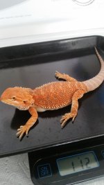 20160905_144116.jpg