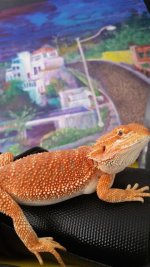 20160905_144207.jpg