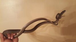 20160907_074418.jpg