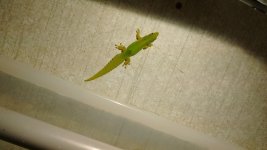 IMG_20161004_171638809.jpg