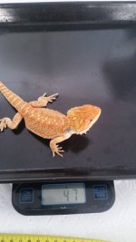20160905_143814.jpg