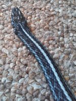 20150813_151609.jpg