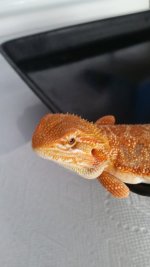 20160905_144846.jpg