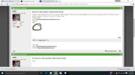 Screenshot (13).jpg