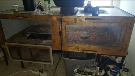 20160412_103717.jpg