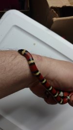 IMG_20161016_143346893.jpg