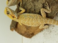 20161003_213359.jpg