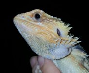 20161108_074741.jpg