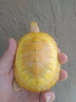 IMG_20160811_1200417.jpg