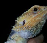 20161108_074710.jpg