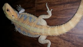 20161108_080458.jpg