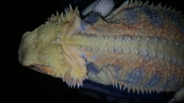20161108_071817.jpg