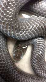 IMG_20161016_144337524.jpg