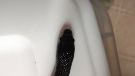 IMG_20161016_144040820.jpg