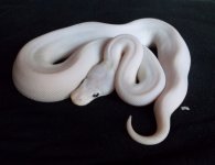 DSCF2775.jpg