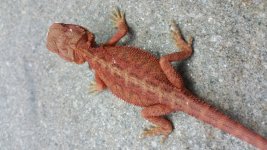 20160802_223227.jpg