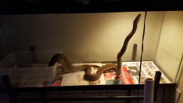 20160531_071846.jpg