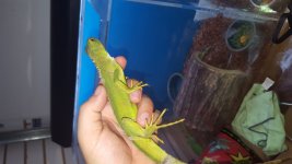20160715_165046.jpg