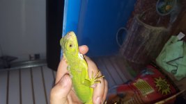 20160715_165056.jpg