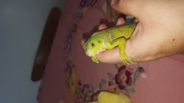 20160717_120435.jpg